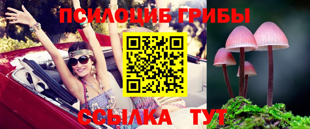 Псилоцибиновые грибы Magic Shrooms  Псилоцибиновые грибы прущие грибы  Вход с VPN  Реж 